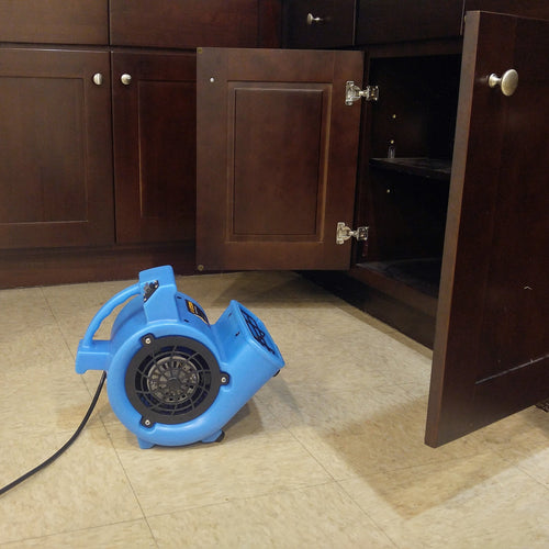 BlueDri Mini Storm 1/12 HP Residential Air Mover & Blower
